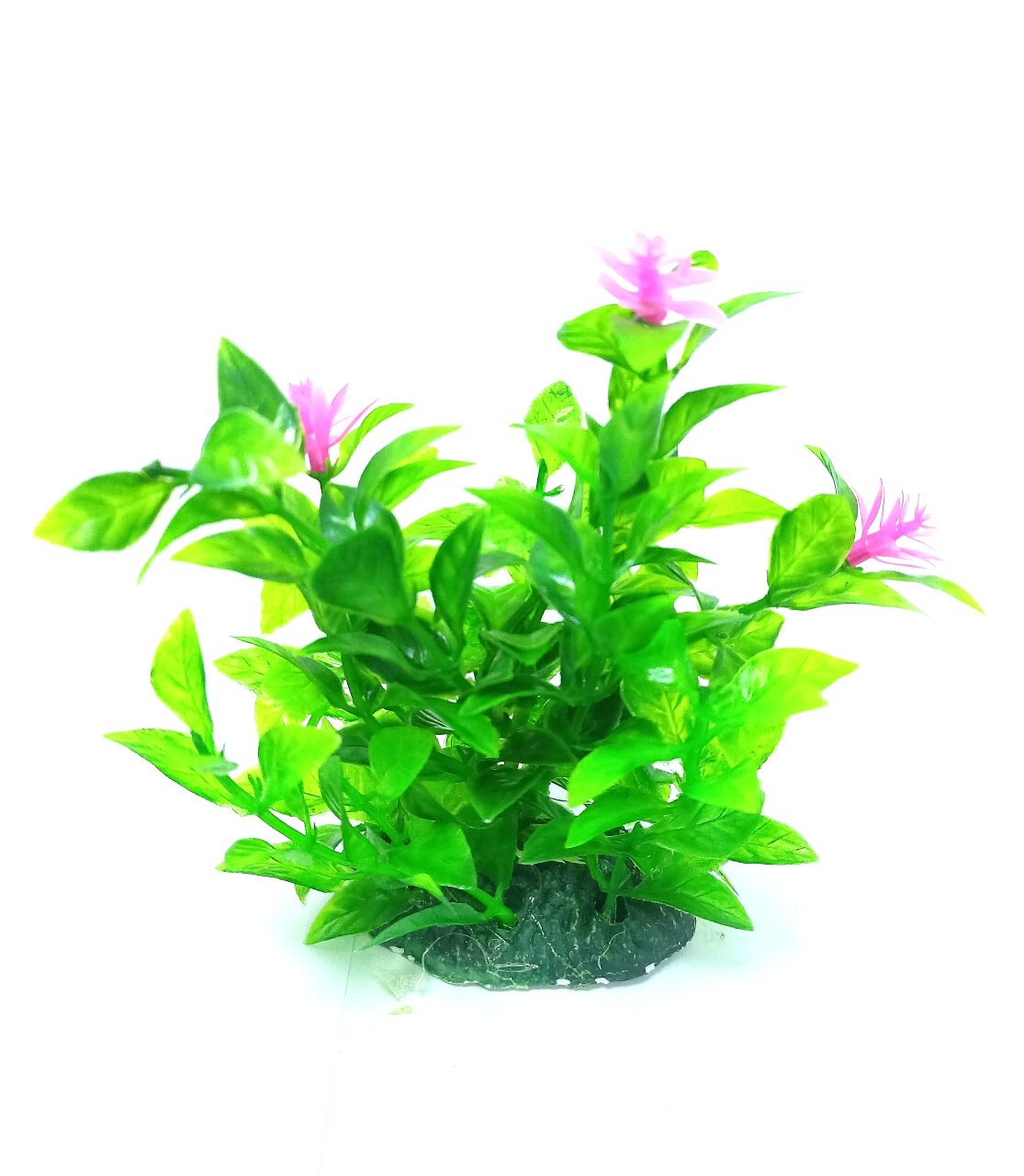 Aquarium Plastic Plant - M420-W7*H13 Cm