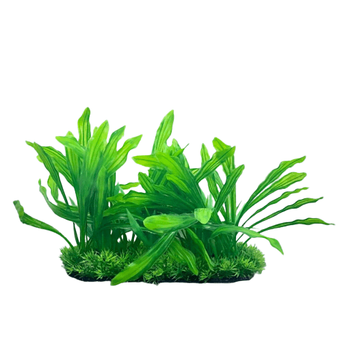 Aquarium Plastic Plant - L707-W25*H26 Cm