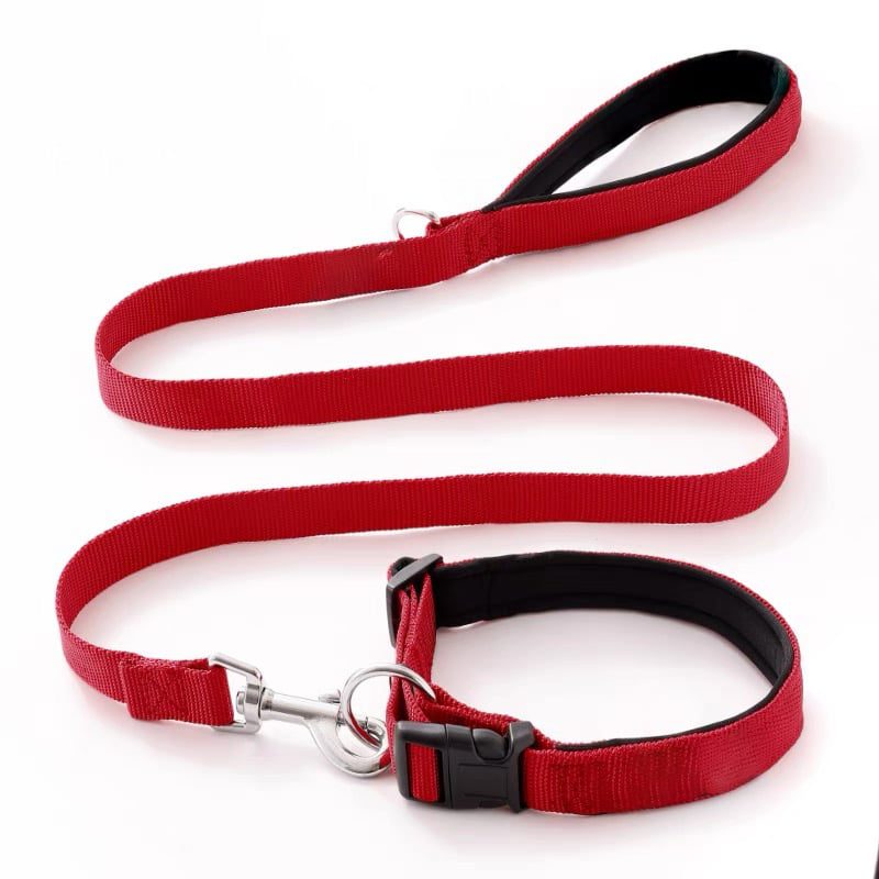 Helepet Nylon Dog Leash Collar Set