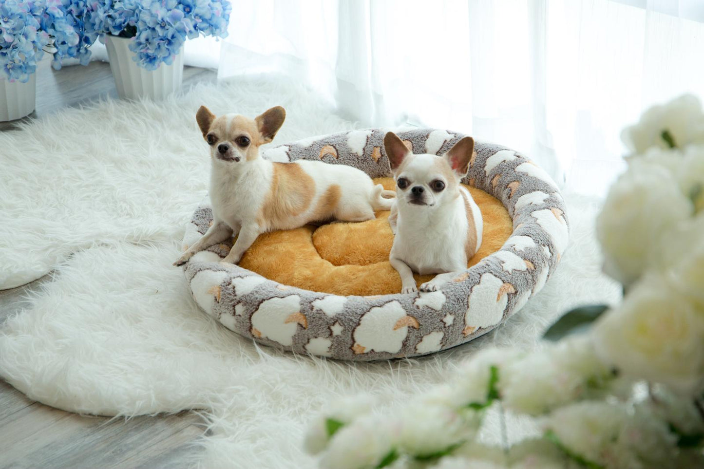 Coco Kindi Pizza Style Pet Bed Fur - Size #1