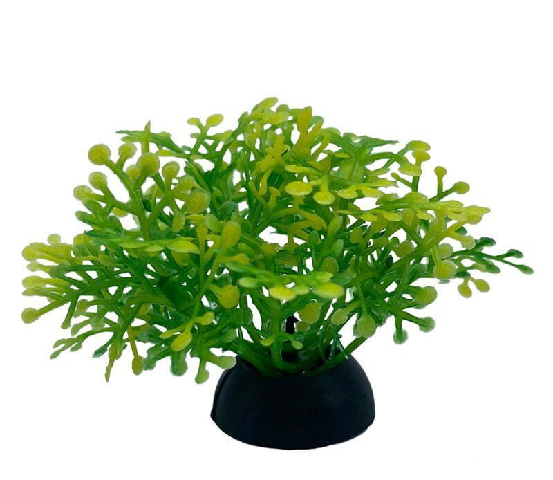 Aquarium Plastic  Plant - S231-W2.5*H7 Cm(Sold By 20 Pcs/Pack Only)