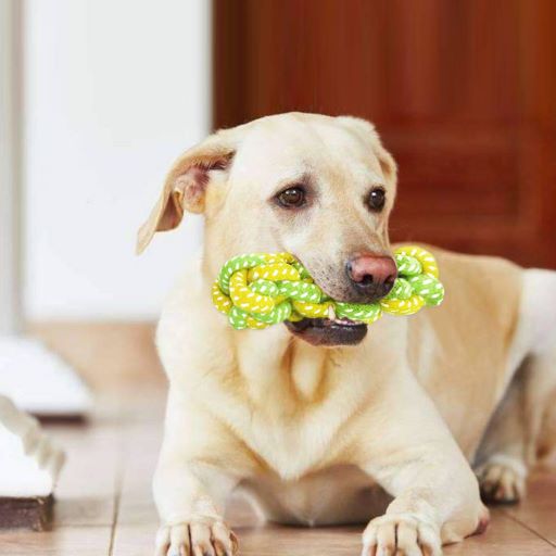 Pets Club Green &amp; Yellow Chew Corn Cotton Rope Toy Green