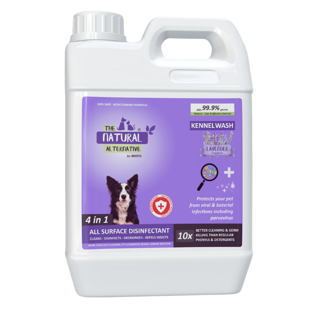 Noventis  Kennel Wash Lavender 5 ltrs