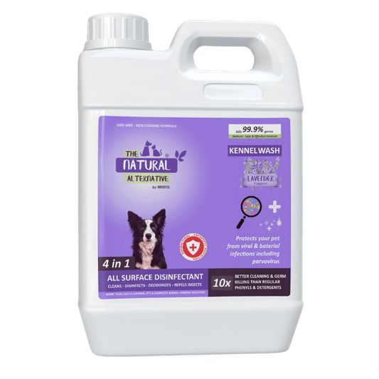 Noventis  Kennel Wash Lavender 5 ltrs