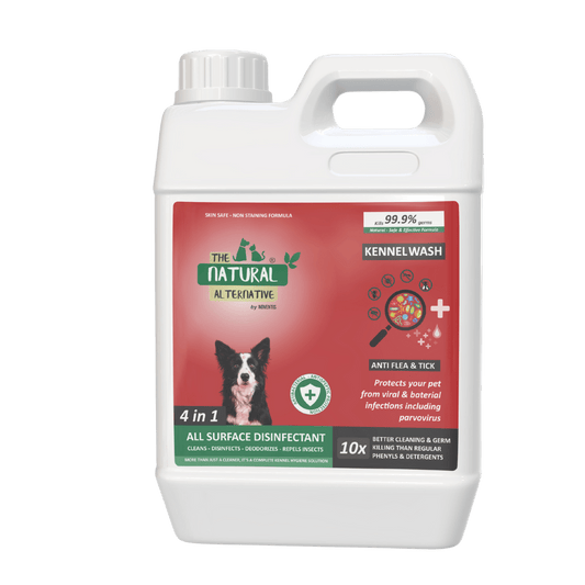 Noventis  Kennel Wash Anti Flea &amp; Tick 5 Ltr