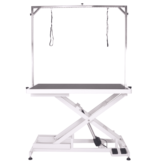 Aeolus Low-Low Electric Lifting Table (Powered by Denmark Linak Actuator &amp; Transformer)124*66*20--102cm