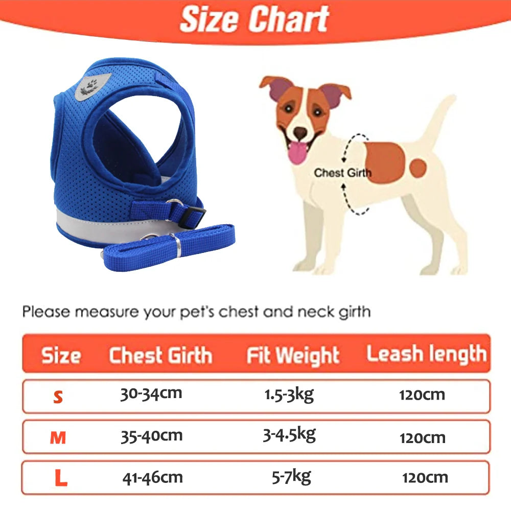 Cozy Paws No Pull Adjustable Dog Harness  with Leash Set -Black