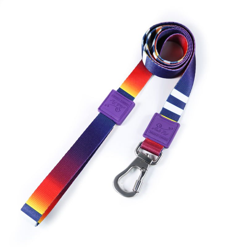 Helepet Faux Nylon Dog Leash-M 2*120cm