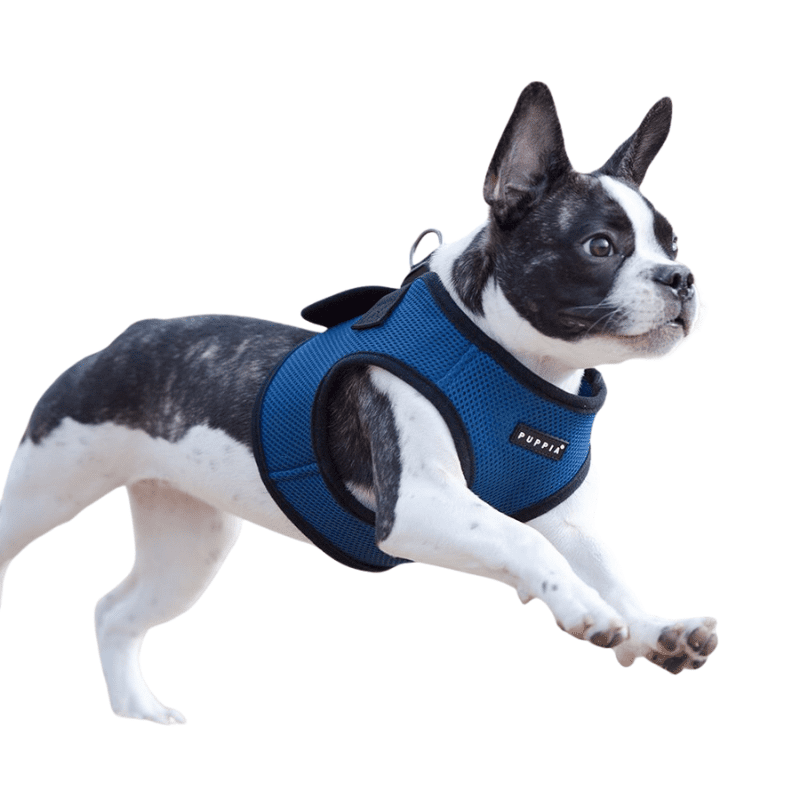 Puppia Soft Vest Harness