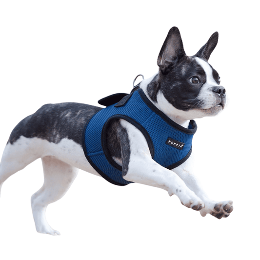 Puppia Soft Vest Harness