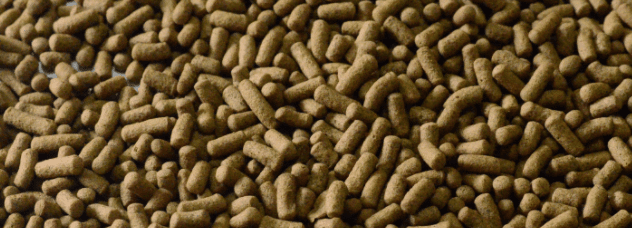 Aquav Koi Sticks