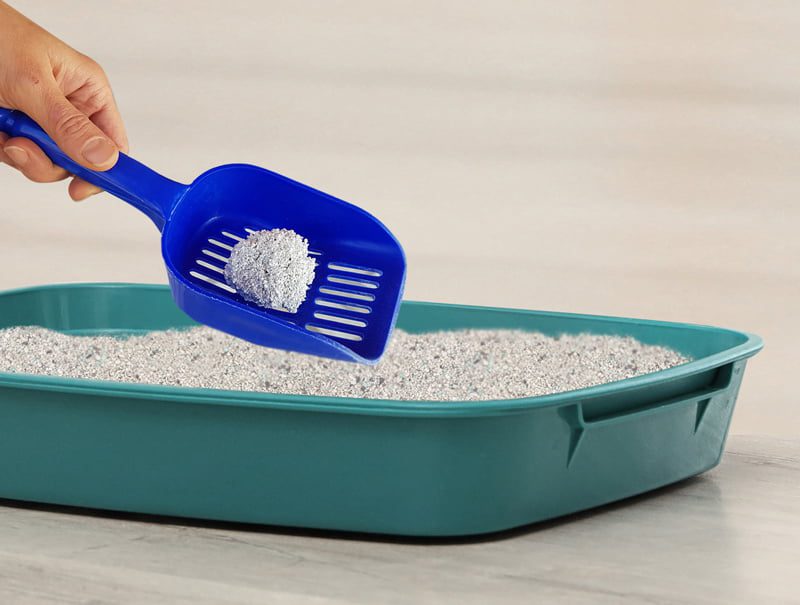 Kiki Kat White Bentonite Clumping Cat Litter –Cleany-20 L