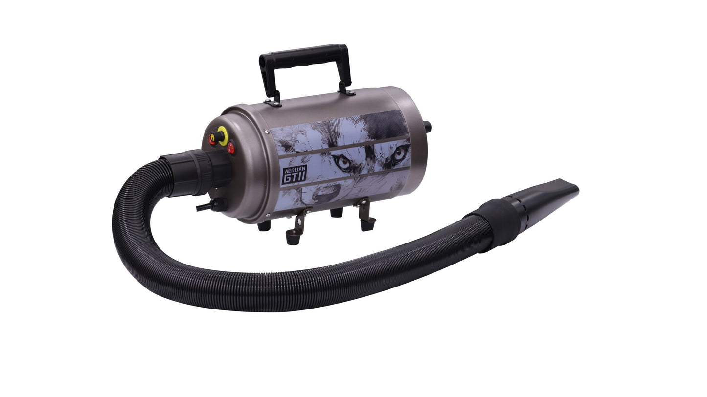 Aeolus AEOLIAN-II Single Motor Dryer With Heating Unit -Brown