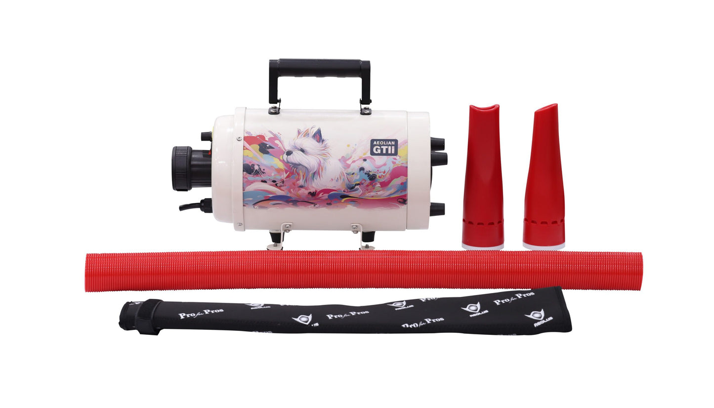 Aeolus AEOLIAN-II Single Motor Dryer With Heating Unit-White