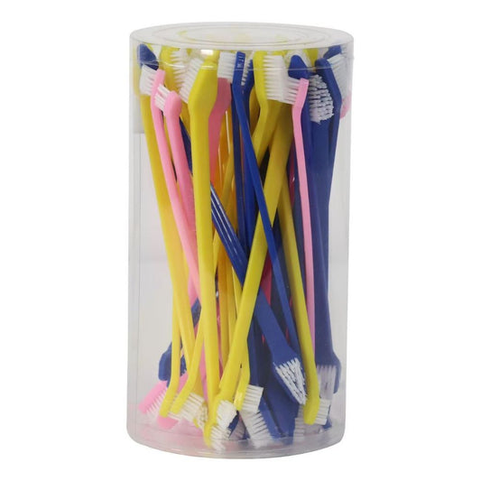 Aeolus Double Side Toothbrush-50pcs per pot