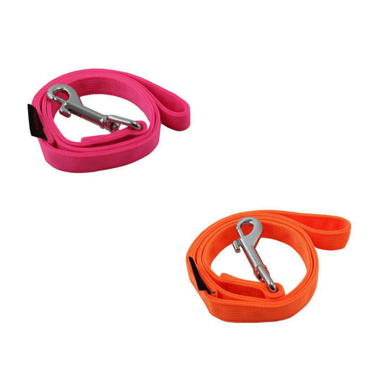 Puppia Neon Lead- L