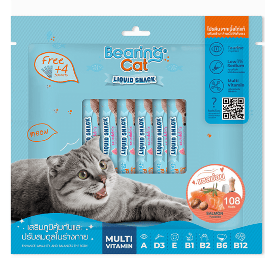Bearing Cat Liquid Snack Salmon (16+4 sachets)