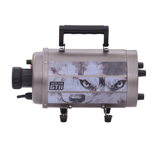 Aeolus AEOLIAN-II Single Motor Dryer With Heating Unit -Brown