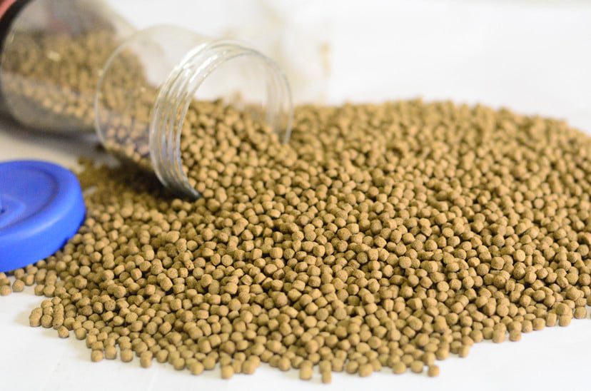 Aquav Growth Pellets