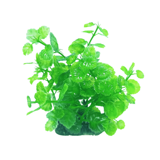 Aquarium Plastic Plant - M413-W6*H13 Cm
