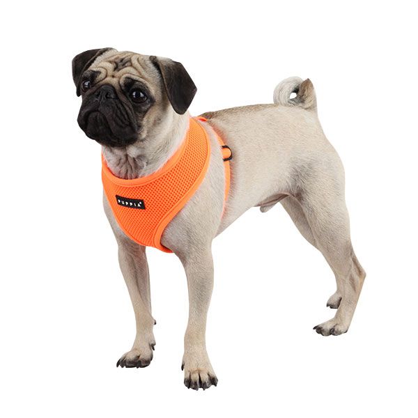 Puppia Neon Soft Harness PINK, XS