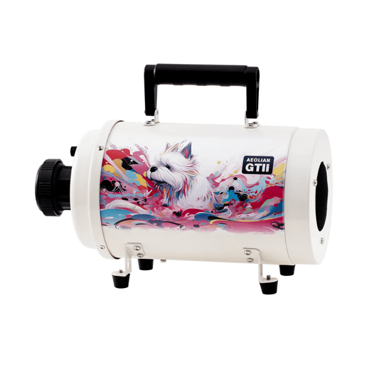 Aeolus AEOLIAN-II Single Motor Dryer With Heating Unit-White